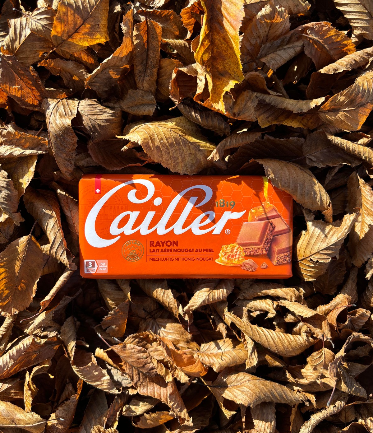 Cailler chocolate bar on autumn leaves